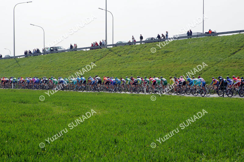 Peloton001p.jpg
